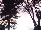 morning light