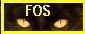 Forest of StarClan